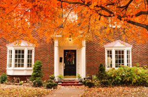 Fall Carpet Cleaning